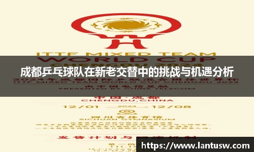 成都乒乓球队在新老交替中的挑战与机遇分析